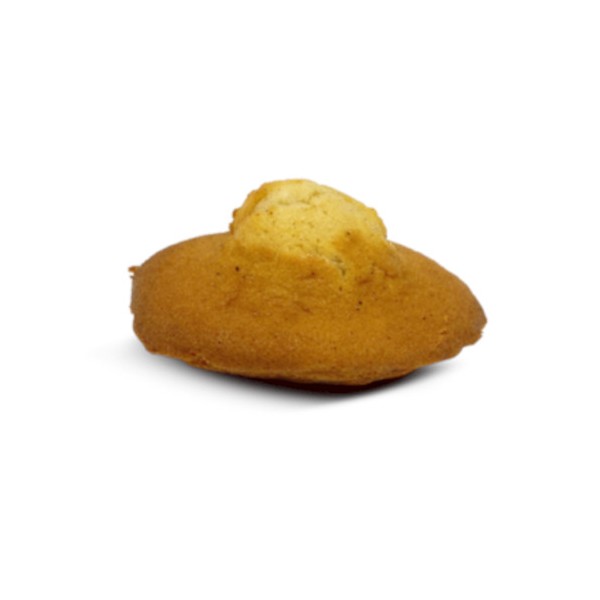 Madeleine à la vanille