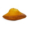 Madeleine saveur citron