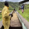 Café sélection Burundi Shikankoni